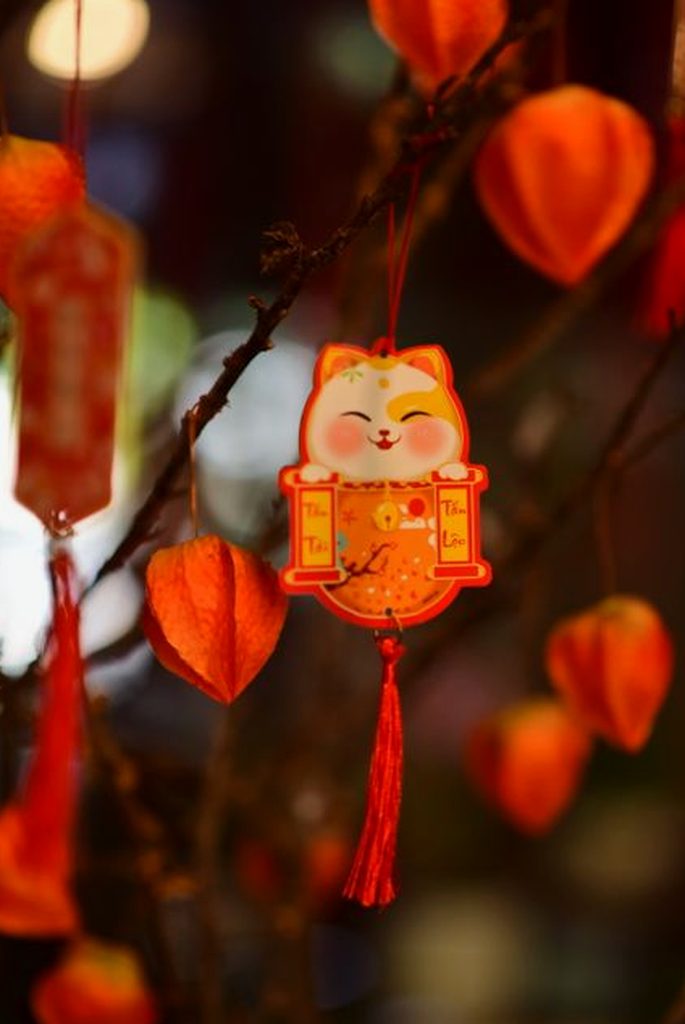 ung dung sodo